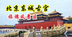 捅鸡巴视频一区二区三区中国北京-东城古宫旅游风景区